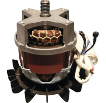 Miral Elektrischer Motor 950 W / 230 V für Betonmischer