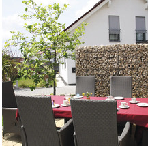 Gabionenwand als Sichtschutz auf einer Terrasse mit gedecktem Esstisch und Gartenstühlen aus Geflecht.