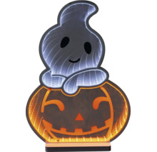 Décoration d'Halloween à LED en forme de fantôme sur une citrouille avec effet de miroir à l'infini.
