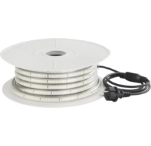 Ruban LED sur bobine avec câble d alimentation et fiche.