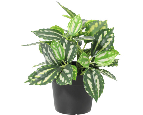 Künstliche Pilea-Pflanze in einem schwarzen Kunststofftopf.