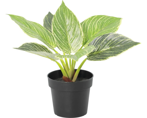 Künstliche Pflanze Philodendron Birkin mit gestreiften Blättern im schwarzen Topf.