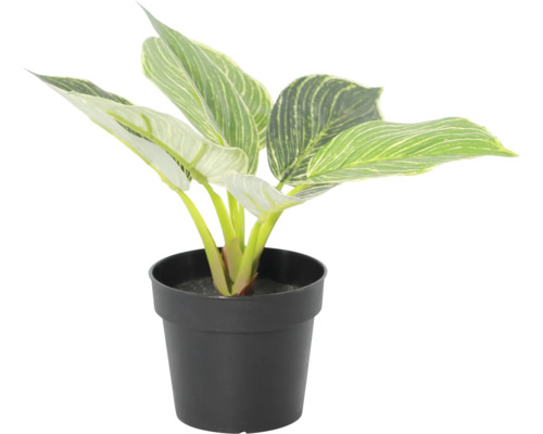 Künstliche Philodendron Birkin Pflanze mit grün-weiß gestreiften Blättern in einem schwarzen Topf.
