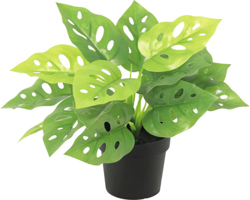 Künstlech Planz Monstera Adansonii am schwaarze Pot mat gelochte Blieder.