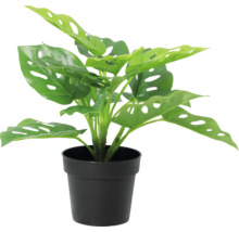 Künstliche Monstera Pflanze im schwarzen Topf.