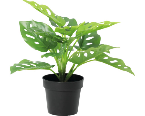 Künstliche Monstera Pflanze im schwarzen Topf.