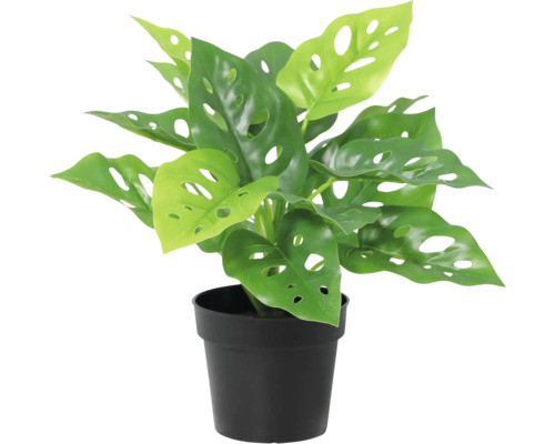Künstliche Monstera Monkey Mask in schwarzem Topf.