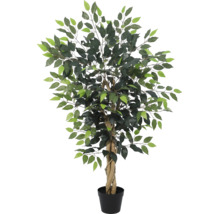Künstliche Ficus-Pflanze mit geflochtenem Stamm im schwarzen Kunststofftopf.