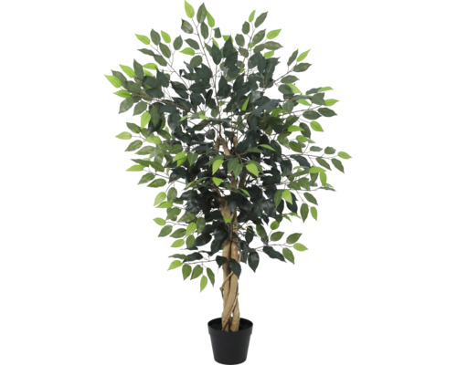 Künstliche Ficus-Pflanze mit geflochtenem Stamm im schwarzen Kunststofftopf.