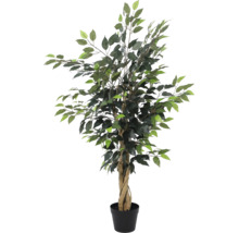 Künstlicher Ficus Benjamina mit gedrehtem Naturholzstamm in einem schwarzen Kunststofftopf.
