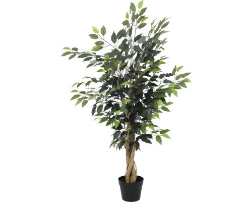 Künstlicher Ficus Benjamina mit gedrehtem Naturholzstamm in einem schwarzen Kunststofftopf.