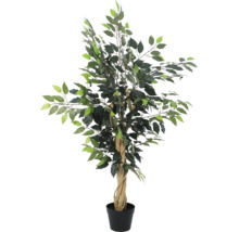 Künstliche Pflanze Ficus Benjamina im schwarzen Topf mit gedrehtem Stamm und grünen Blättern.