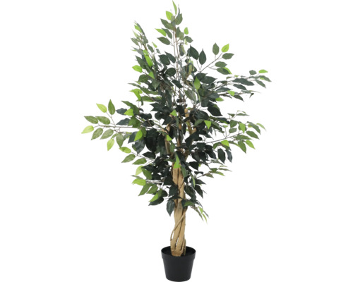 Künstliche Pflanze Ficus Benjamina im schwarzen Topf mit gedrehtem Stamm und grünen Blättern.