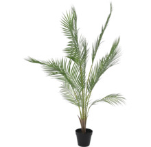 Künstliche Palme im schwarzen Topf mit grünen, gefiederten Blättern.