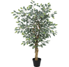 Künstlicher Ficus Benjamina mit panaschierten Blättern und gedrehtem Echtholzstamm im schwarzen Topf.
