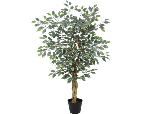 Künstlicher Ficus Benjamina mit panaschierten Blättern und gedrehtem Echtholzstamm im schwarzen Topf.
