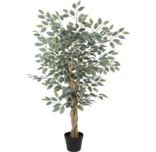 Künstlicher Ficus mit geflochtenem Stamm und zweifarbigen Blättern im schwarzen Kunststofftopf.