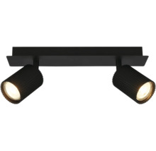 Spot de plafond noir avec deux têtes rainurées orientables et une base rectangulaire.
