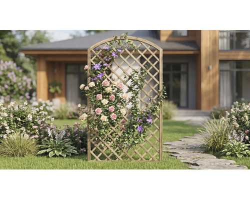 Treillis en bois à sommet cintré dans un jardin, avec des rosiers grimpants et des clématites devant une maison.