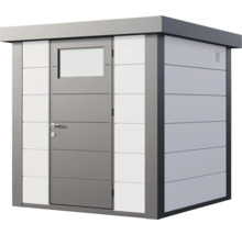 Abri de jardin avec toit plat, porte simple avec fenêtre et panneaux horizontaux.