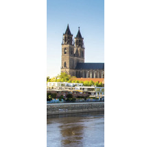 Vue de la cathédrale de Magdebourg derrière des bâtiments résidentiels modernes sur les rives de l'Elbe.
