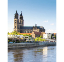 Vue de la ville de Magdebourg avec la cathédrale de Magdebourg et l'Elbe par temps clair.