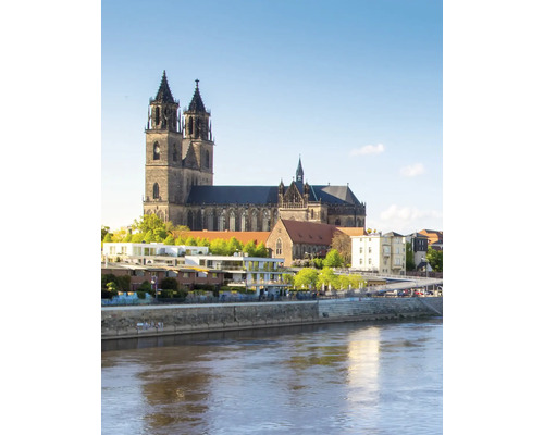 Vue de la ville de Magdebourg avec la cathédrale de Magdebourg et l'Elbe par temps clair.