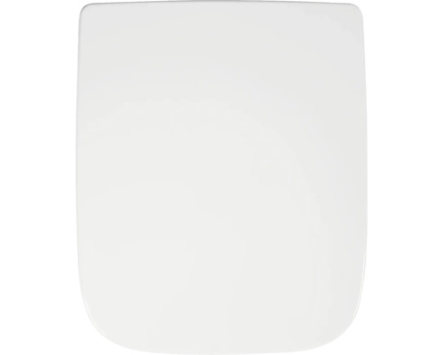 Toilettendeckel in rechteckiger Form mit abgerundeten Ecken.