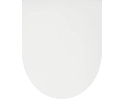 Couvercle d'abattant de toilettes blanc en forme de D en plastique.