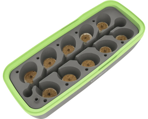 Plateau de culture Romberg en plastique vert et gris avec dix pastilles de coco.