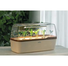 Mini-serre d'intérieur en plastique avec éclairage LED pour plantes et jeunes pousses sur une table dans une pièce lumineuse.