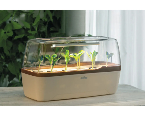 Mini-serre d'intérieur en plastique avec éclairage LED pour plantes et jeunes pousses sur une table dans une pièce lumineuse.