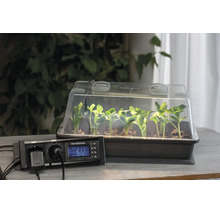 Serre d'intérieur lumineuse avec semis et thermostat numérique HortiSwitch sur une table en bois organisée.