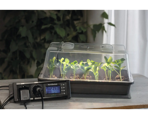 Serre d'intérieur lumineuse avec semis et thermostat numérique HortiSwitch sur une table en bois organisée.