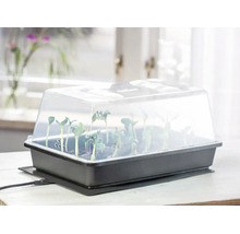Serre d intérieur chauffante avec couvercle transparent et jeunes pousses sur une table.