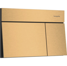 Plaque de commande hansgrohe pour WC, rectangulaire avec surface en métal brossé, double touche.