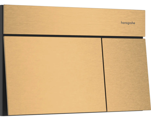 Plaque de commande hansgrohe pour WC, rectangulaire avec surface en métal brossé, double touche.