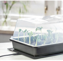 Serre d'intérieur avec couvercle transparent, tapis chauffant et semis.