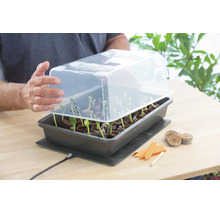 Serre d'intérieur avec couvercle transparent sur un tapis chauffant, plantée de semis dans des pastilles de terre sur une table en bois.