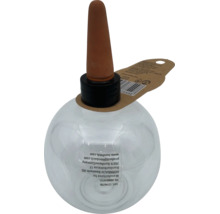 Transparente Bewässerungskugel für Pflanzen mit einem Bewässerungskegel aus Ton zur automatischen Wasserversorgung.