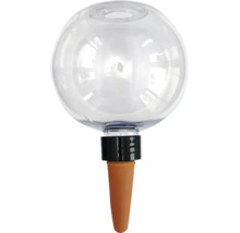 Bewässerungskugel aus Glas mit Terrakotta-Kegel für die Pflanzenbewässerung.
