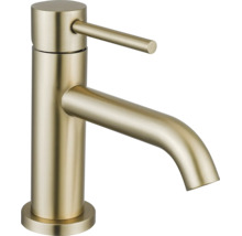 Mitigeur de lavabo monocommande en aspect or brossé avec corps cylindrique et bec courbé.