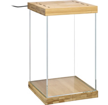 Quadratisches Glas-Terrarium mit Deckel und Boden aus Bambus sowie einem schwarzen Stromkabel.