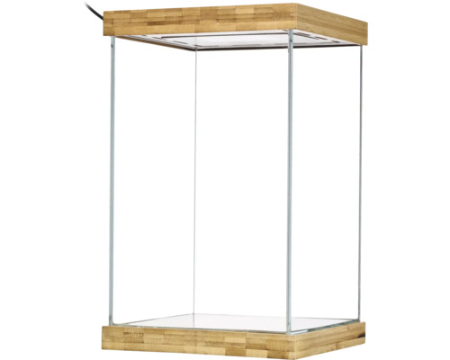 Glasterrarium mit Bambuselementen und integrierter Beleuchtung.