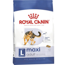 Royal Canin Maxi Adult nourriture pour chiens de grande taille de 26 à 44 kilogrammes, de plus de 15 mois, favorise la santé digestive.