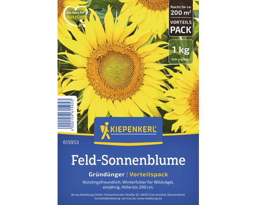 Kiepenkerl tournesol des champs engrais vert 1 kilogramme pack avantageux pour environ 200 mètres carrés. Nourriture hivernale pour oiseaux.