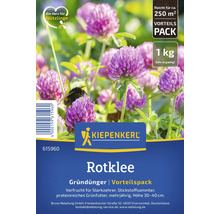 Semences de trèfle violet Kiepenkerl comme engrais vert en pack 1 kilogramme pour environ 250 mètres carrés, favorable aux insectes.