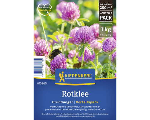 Semences de trèfle violet Kiepenkerl comme engrais vert en pack 1 kilogramme pour environ 250 mètres carrés, favorable aux insectes.