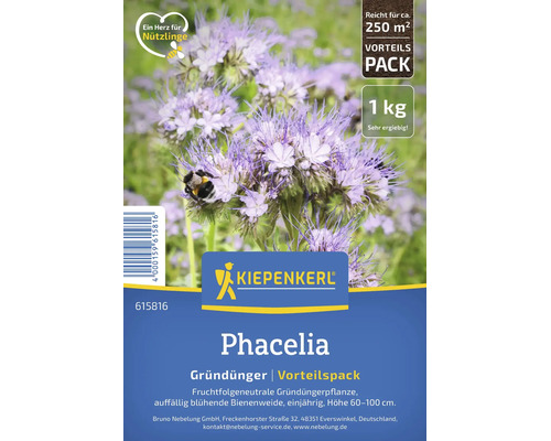 Engrais vert Phacelia de Kiepenkerl, 1 kilogramme pour environ 250 mètres carrés. Plante mellifère, annuelle, hauteur 60 à 100 centimètres.