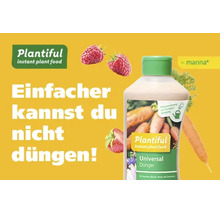 Bouteille d engrais universel Plantiful avec framboises, fraise et carotte. Texte Einfacher kannst du nicht düngen. Logo Plantiful et logo manna.